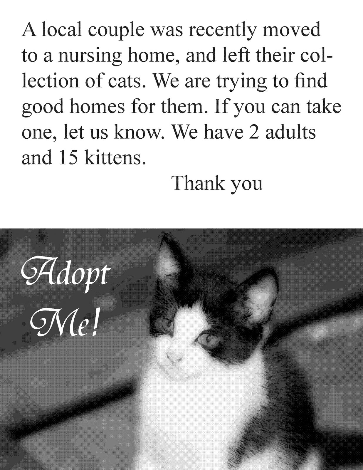 [kittens1.JPG]