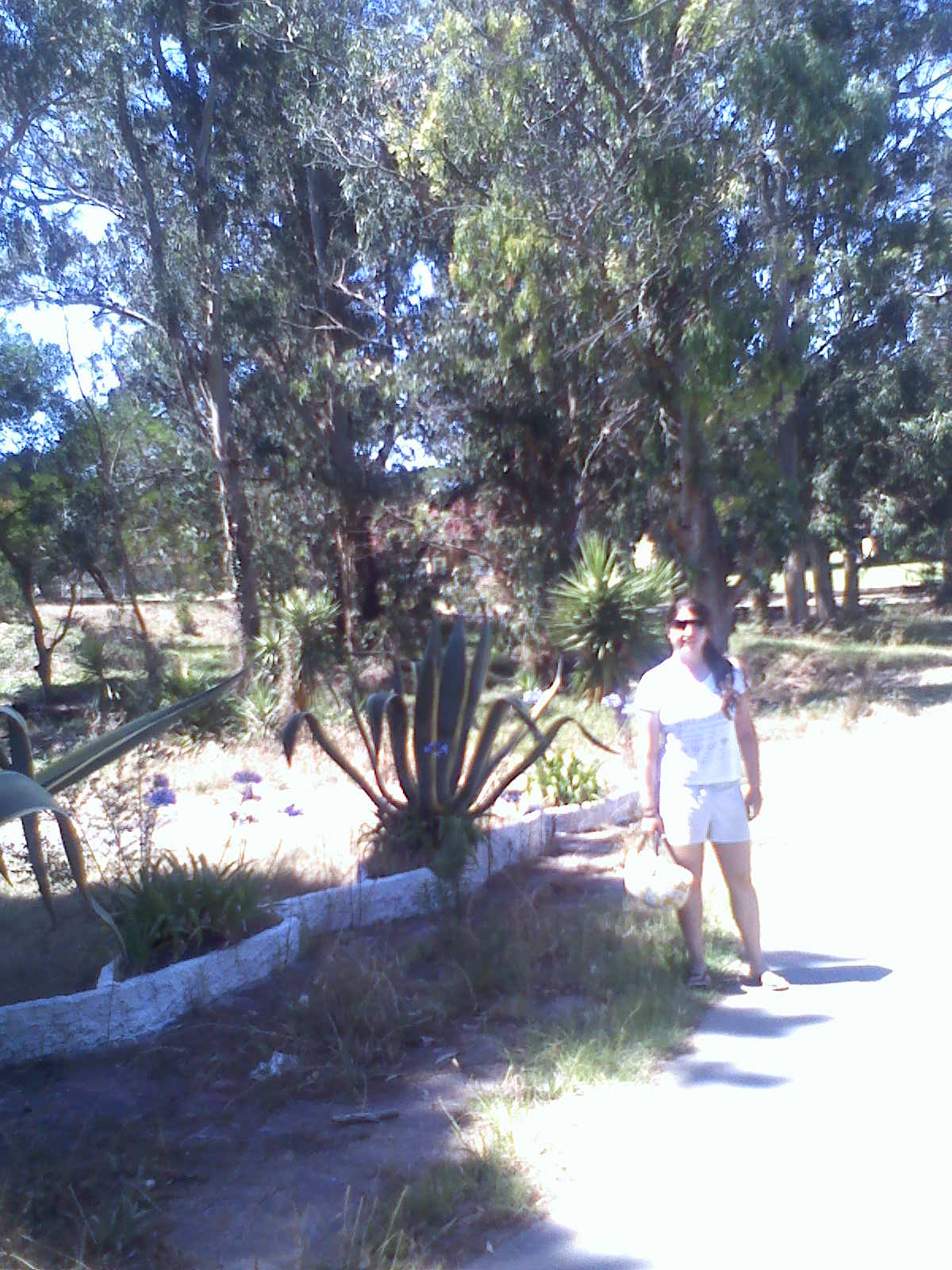 [Pinamar+049.jpg]