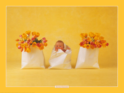 Anne Geddes Pictures on Molduras Digitais E Materiais Para Photofiltre  Beb  S Anne Geddes