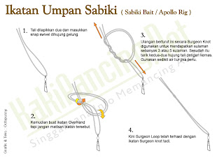 Reel 10 Ball Bearings: Apollo Rigs