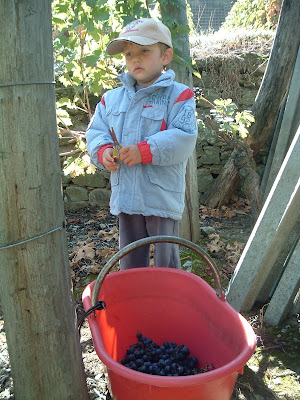 Best Kates Playground Sets