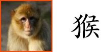 Chinese Zodiac Sign : Monkey