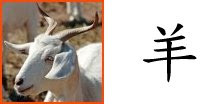 Chinese Zodiac Sign : Goat