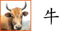 Chinese Zodiac Sign : Ox