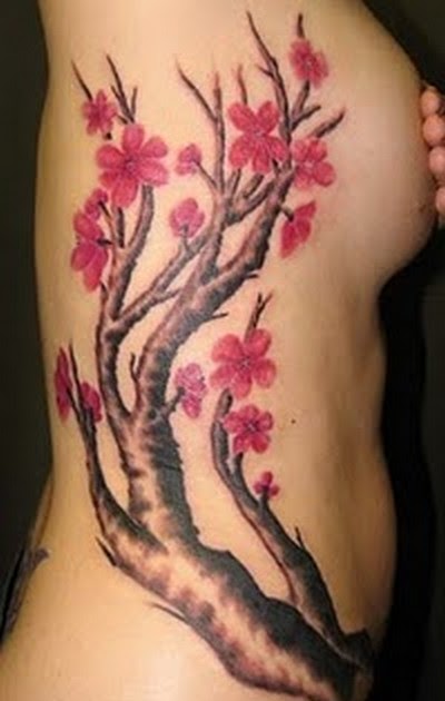  Tattoo Bunga  Cherry Album 2 Gambar Seni Tattoo 
