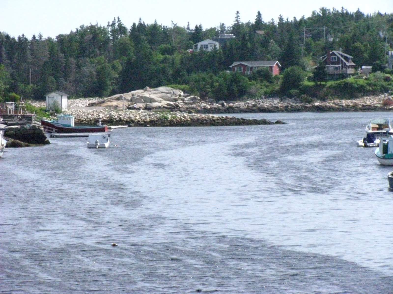 The MacIntyre Family Nova Scotia Vacation Herring Cove