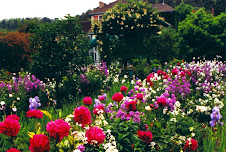 quero um jardin só pra mim