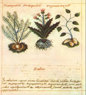 TERAPIAS NATURALES MATARO - EL CODICE BADIANO TERAPIAS NATURALES MATARO - EL CODICE BADIANO
