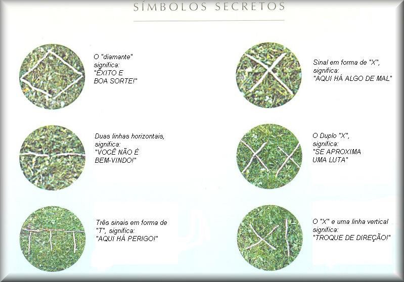 [imagem.bmp]