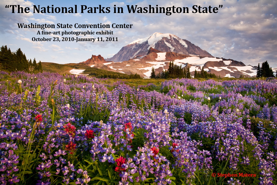Mount Rainier Volunteers The National Parks In Washington State A Mount rainier volunteers the national parks in washington state a