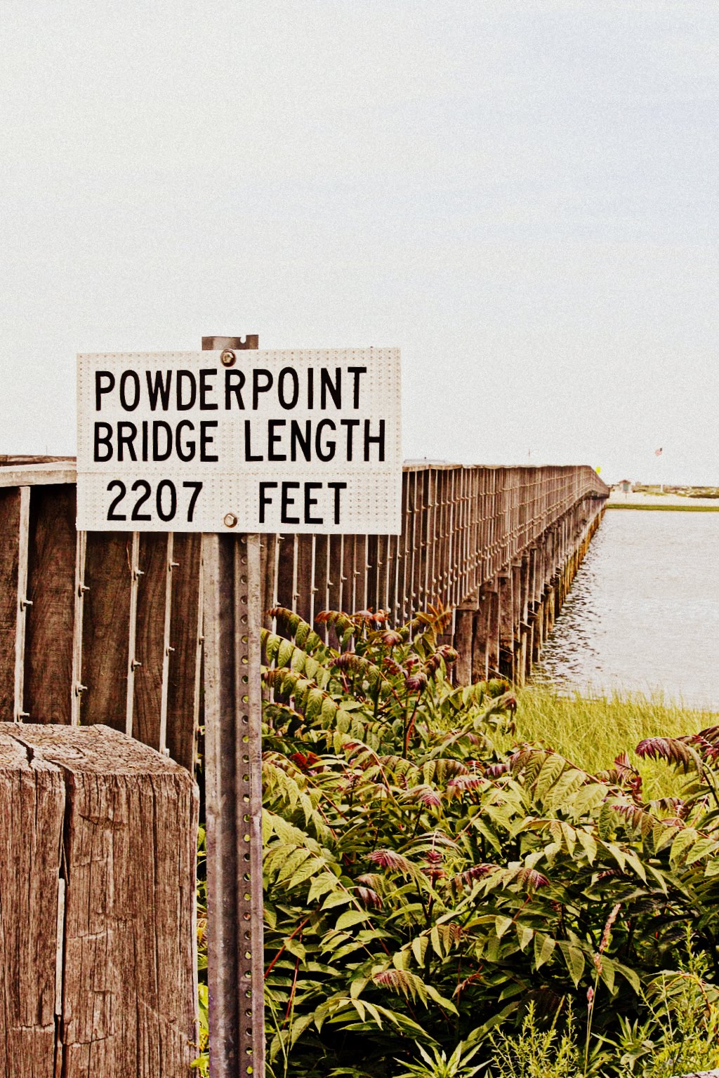 Powder Point Beach the elegance of words: 06.2010