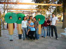 LEY DE BOSQUES