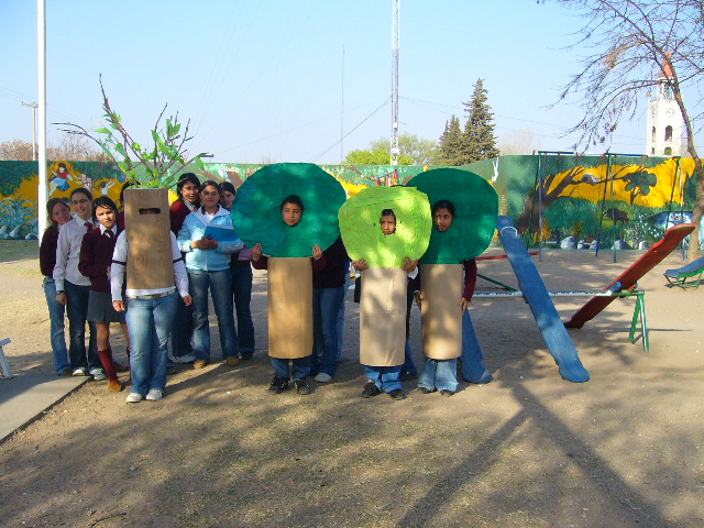 LEY DE BOSQUES