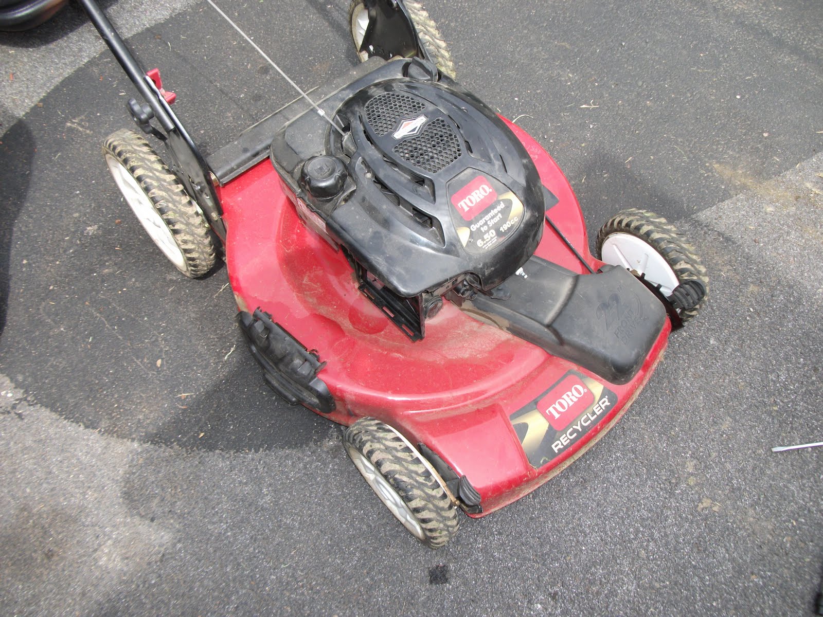 KiwiCranApple Blend Lawnmower Flywheel Key Replacement