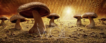 Mushroon savanna - Carl Warner