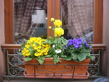 Trucs et astuces pour fleurir vos fenêtres et balcons de manière écologique, économique et original