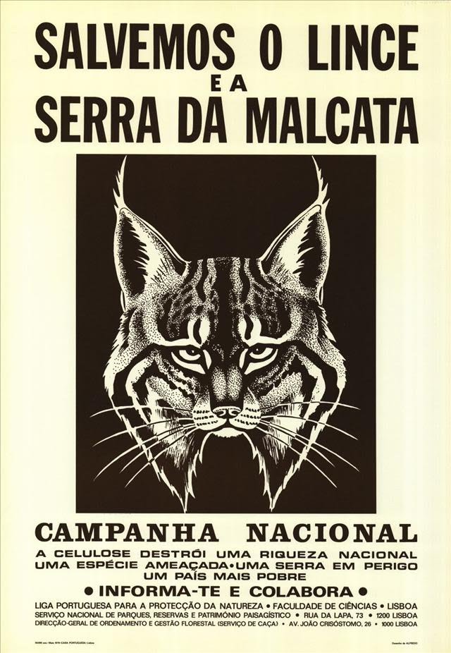 Reserva Natural Da Serra Da Malcata reserva-natural-da-serra-da-malcata