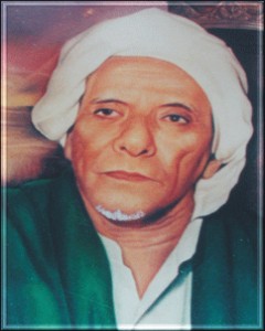 Habib Sholeh Bin Muhsin Al-Hamid