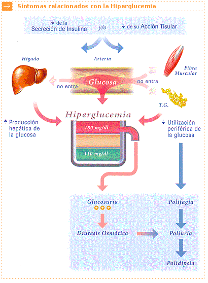 imagenes de ketones en diabetes