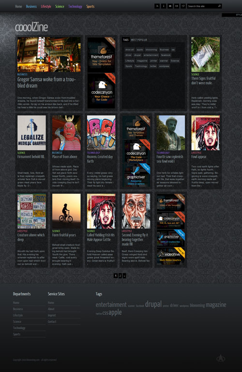 cooolZine magazine Wordpress Theme Free Download by Themeforest.