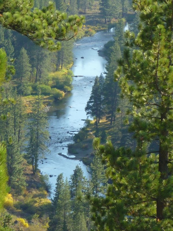 Trailing Ahead At the edge of the Truckee River canyon along the