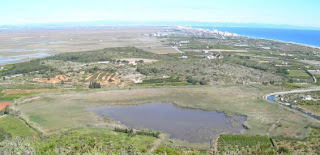 La bassa de Llorenç en Cullera