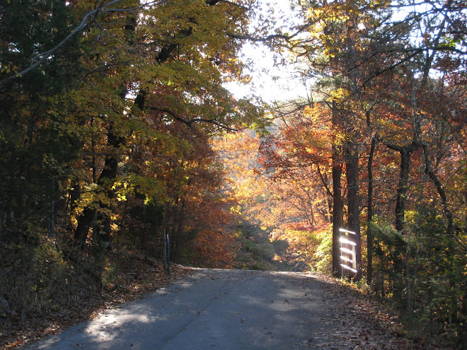 Fall in Arkansas