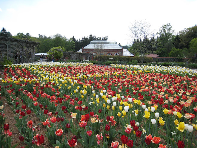 Biltmore Conservatory