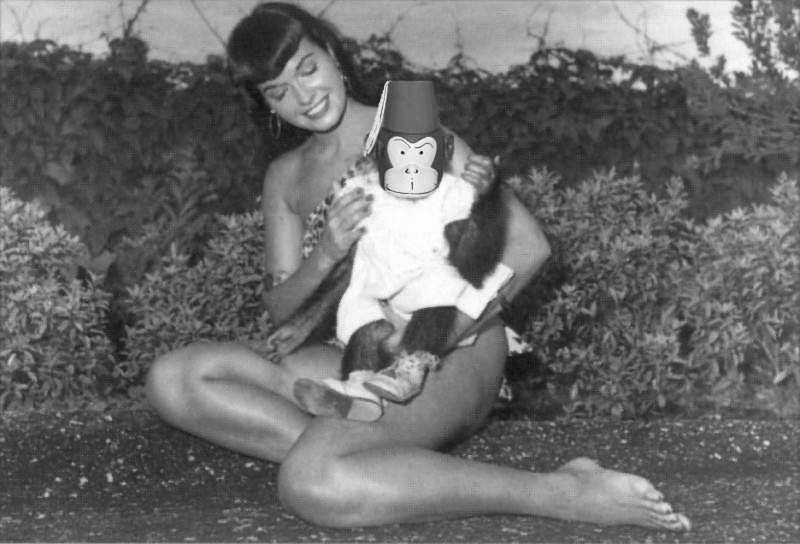 [dr+monkey+meets+bettie+page.jpg]