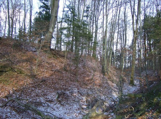 Römerschanze bei Grünwald zwischen erstem und zweitem Wall Römerschanze bei Grünwald zwischen erstem und zweitem Wall