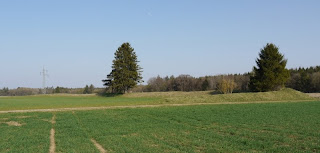 Keltenschanze/Viereckschanze im Lanzenhaarer Feld Keltenschanze/Viereckschanze im Lanzenhaarer Feld