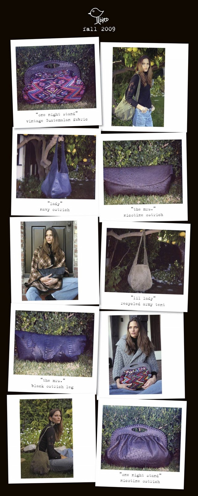 [bird_fall_09_preview.jpg]