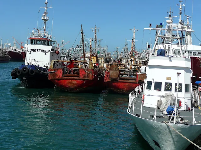 Barcos anclados en puerto de Mar del Plata