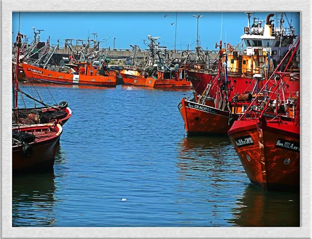 Lanchas pesqueras en Pto de Mar del Plata