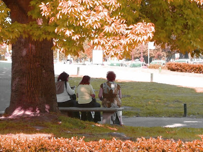 Tres esperanzas. Debajo de un arbol tres mujeres de espaldas sentadas en un banco