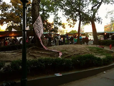 Atardecer sobre los pulgueros de la Recoleta;Benos Aires.