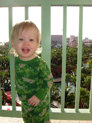Balcony at the Atlantis