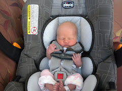 Her first Ride to the New House!