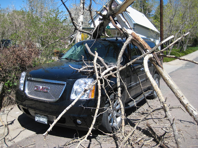 Nature abhors an suv