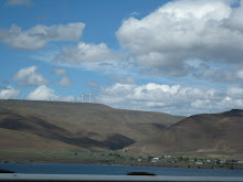Windmills above the Columbia