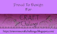 Proud to be C.R.A.F.T Challenge blog Junior DT member