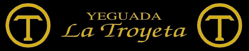 Blog de Yeguada La Troyeta