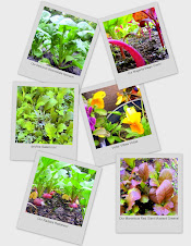 Our Debut Produce