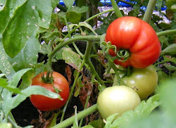 fairies rantings stern august