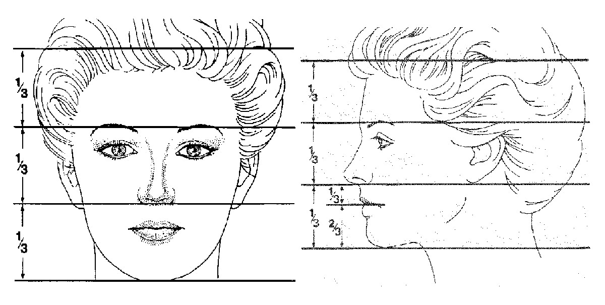 Facial Proportions Facial Analysis in Cosmetic Surgery Aaron Stone
