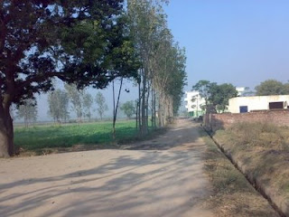 Jalkheri