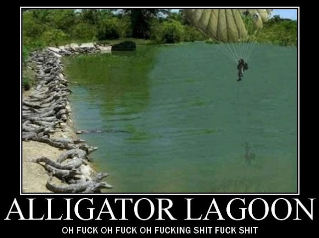 motivator alligator