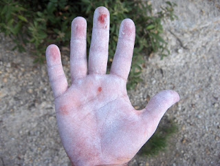 Team Tuesday Climbing: What Lies Beneath