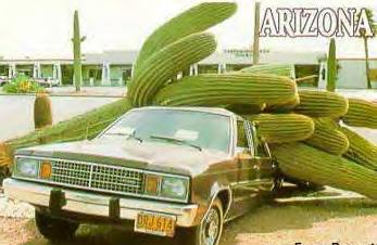 The # 5million, 751 thousand, 688th thing to watch while driving...falling cactus'