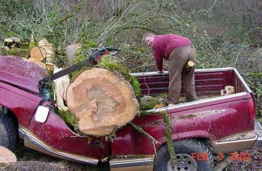 Be careful when cutting down trees. And don't park too close to the work site